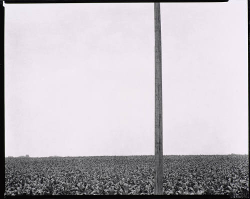 Environs of Chicago