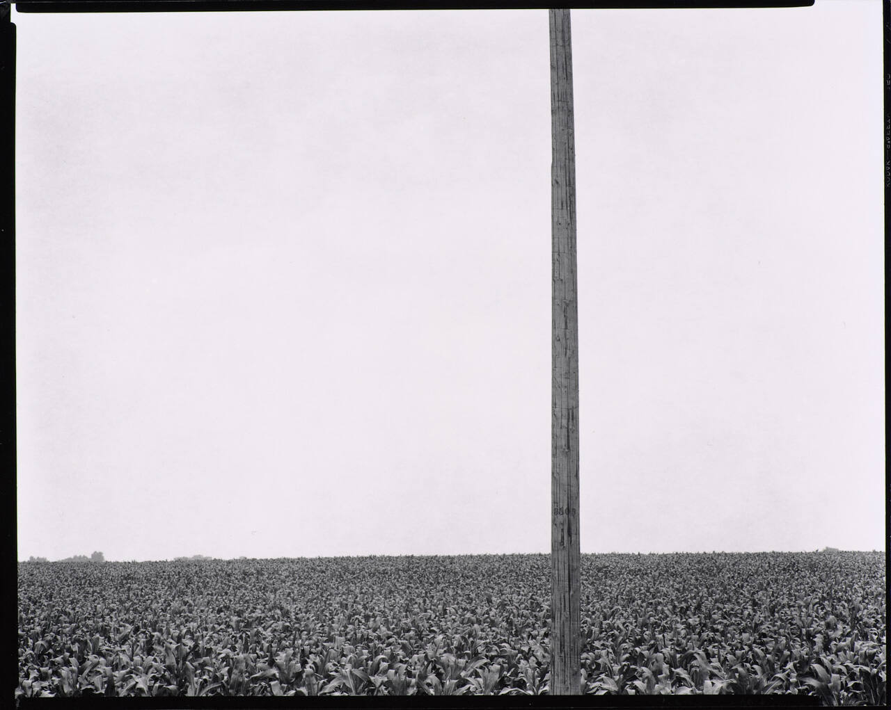 Environs of Chicago