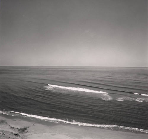 Cape Cod