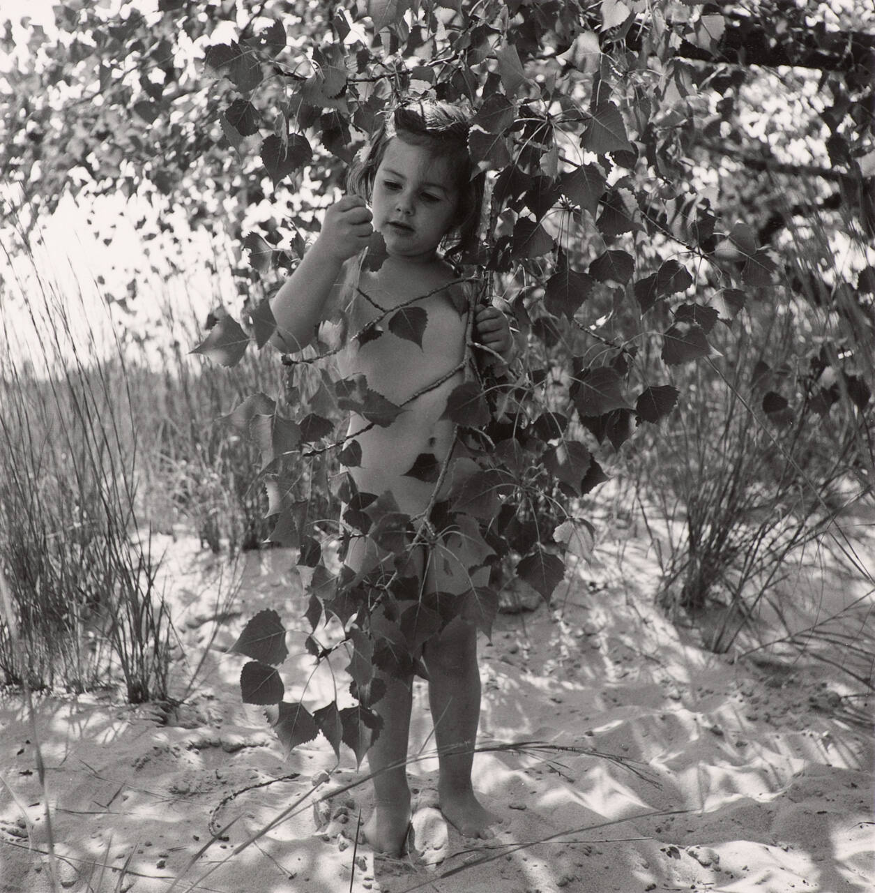 Barbara, Chicago