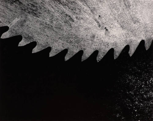 Untitled (saw blade)