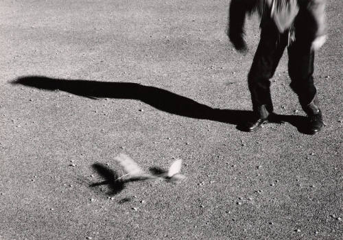 Boy's legs and blurred model airplane