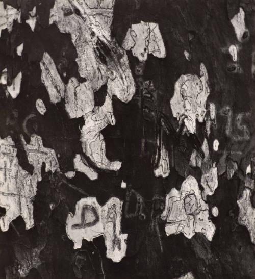 [Graffiti abstraction]