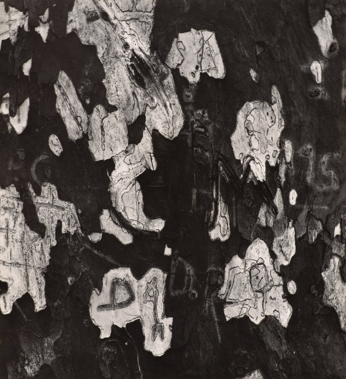 [Graffiti abstraction]