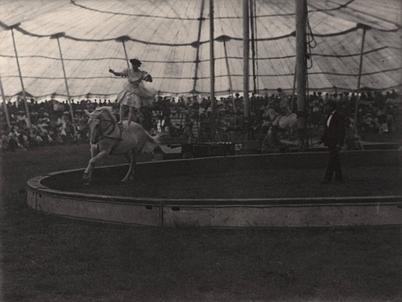 In the Circus