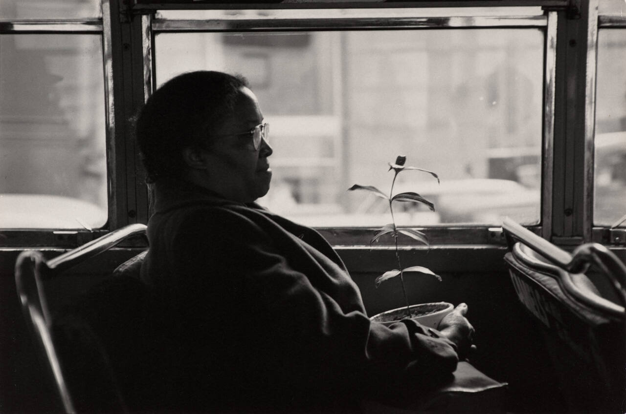 Untitled (Seated woman with plant)