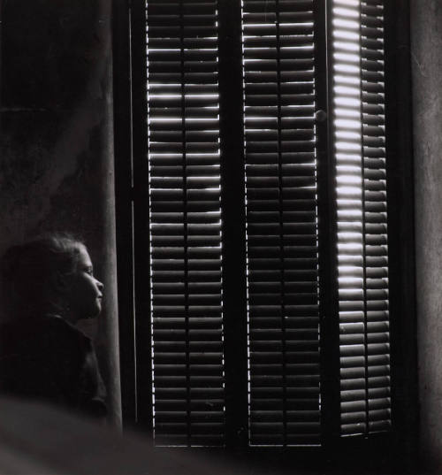 (Girl with blinds)