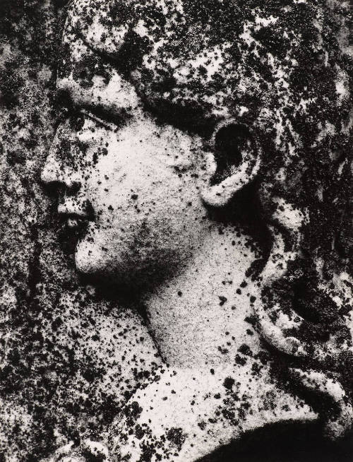 [Cemetery statue, profile with moss spots]