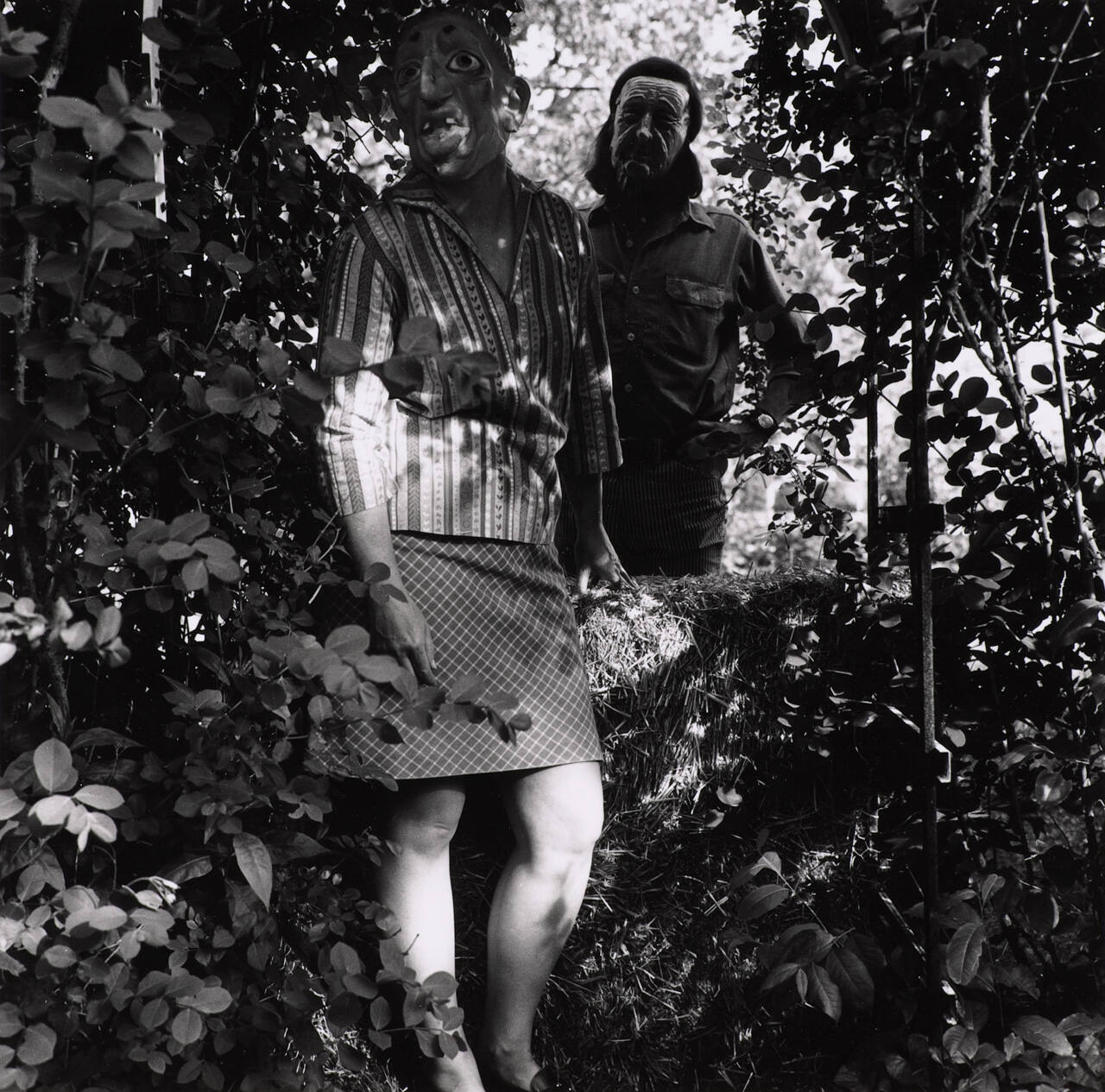 [Lucybelle Crater series]