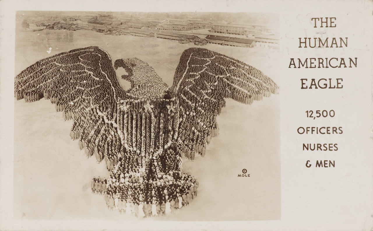 Human American Eagle Formation