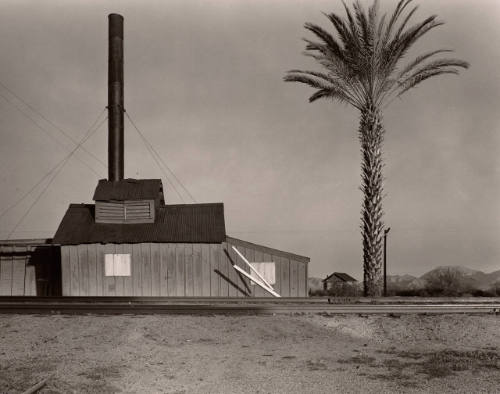 Powerhouse and Palm Tree, Near Lordsburg, New Mexico