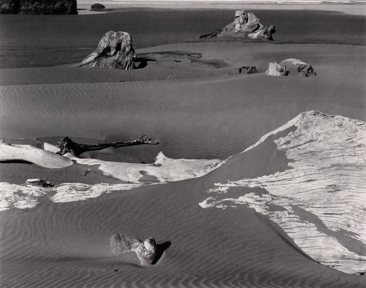 Pistol River Beach, Oregon