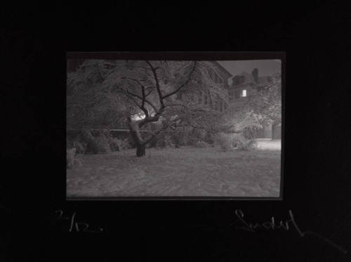 Untitled Night Scene