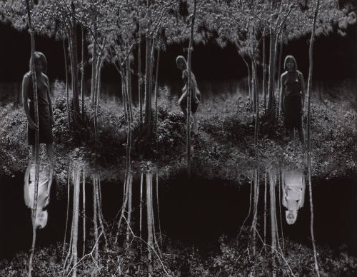 Small Woods Where I Met Myself (final version)