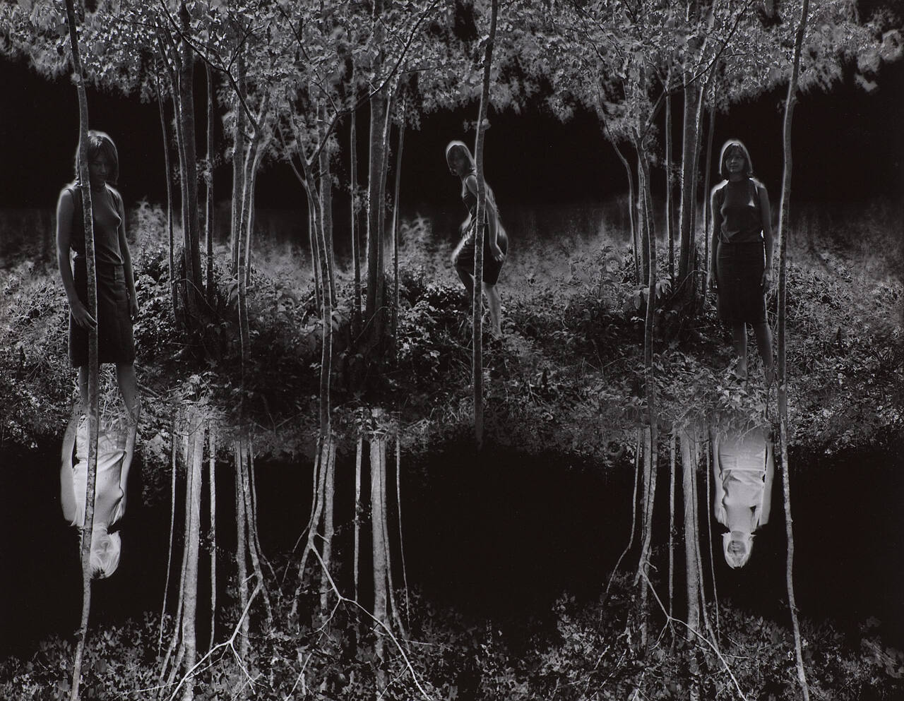 Small Woods Where I Met Myself (final version)