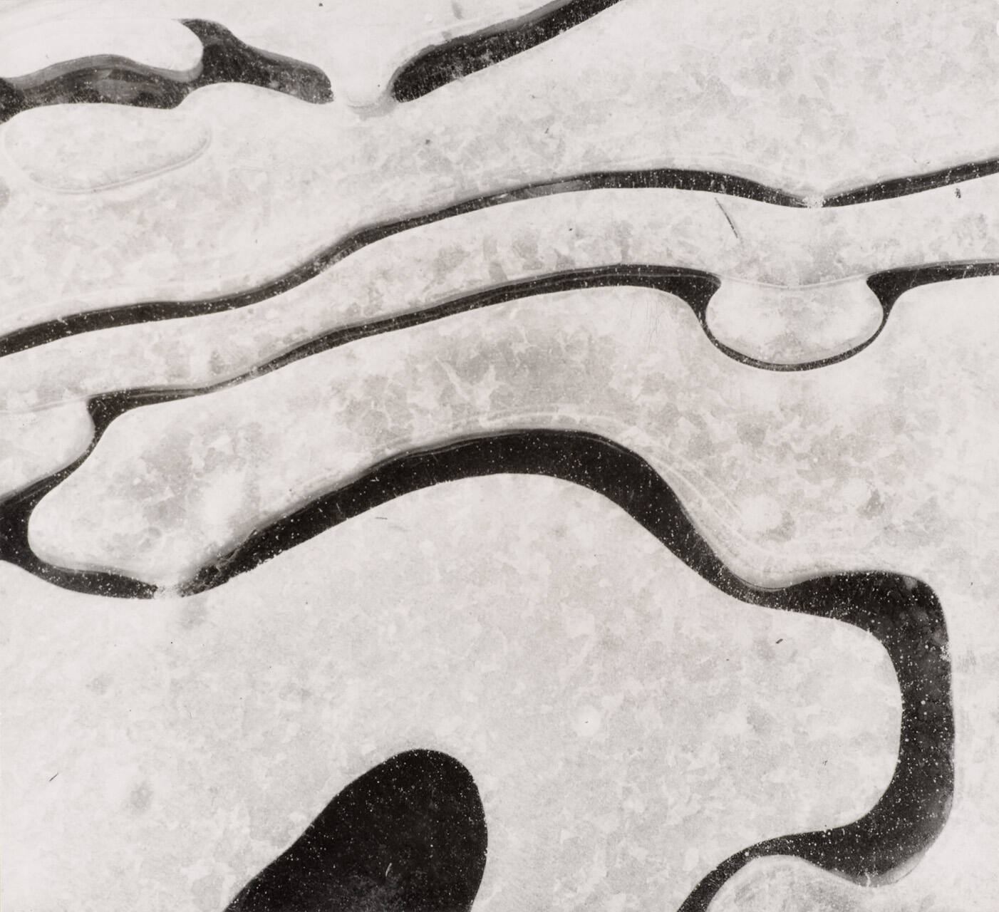 Untitled (Ice Abstraction )