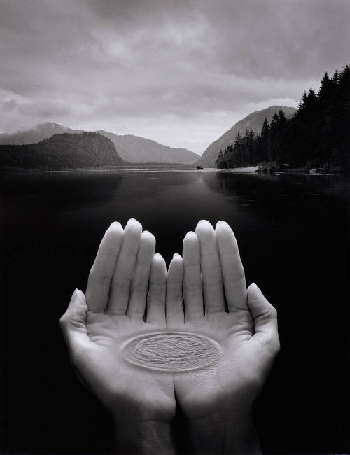 Untitled (hands holding water)