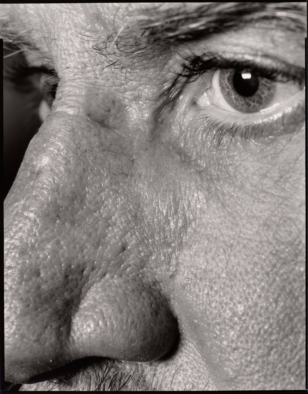 Nicholas Nixon