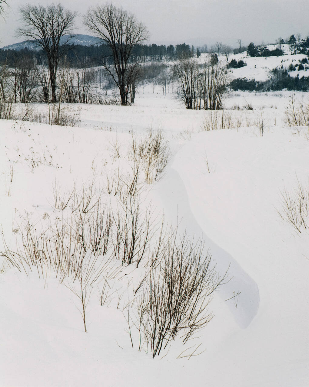 Winter Landscape