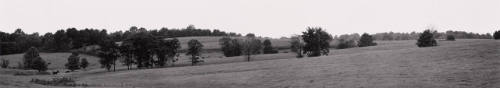 Midwest Landscape #49