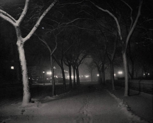 An Icy Night (5th Ave. at 63rd St.)