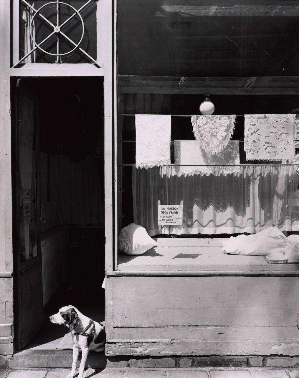 Laundry on the Rue Des Cannettes, Paris