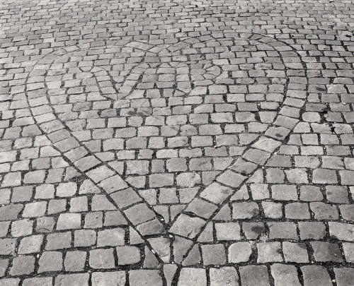 Detail in Pavement in Front of the Institut De France, Paris