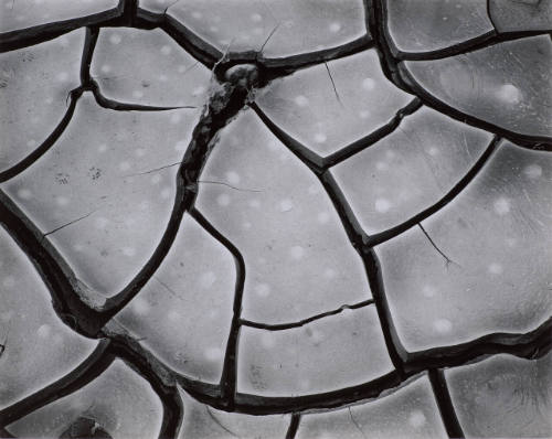 Cracked Mud Abstraction