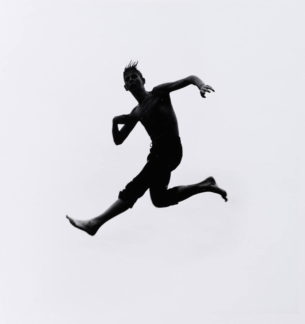 Pleasures and Terrors of Levitation #63