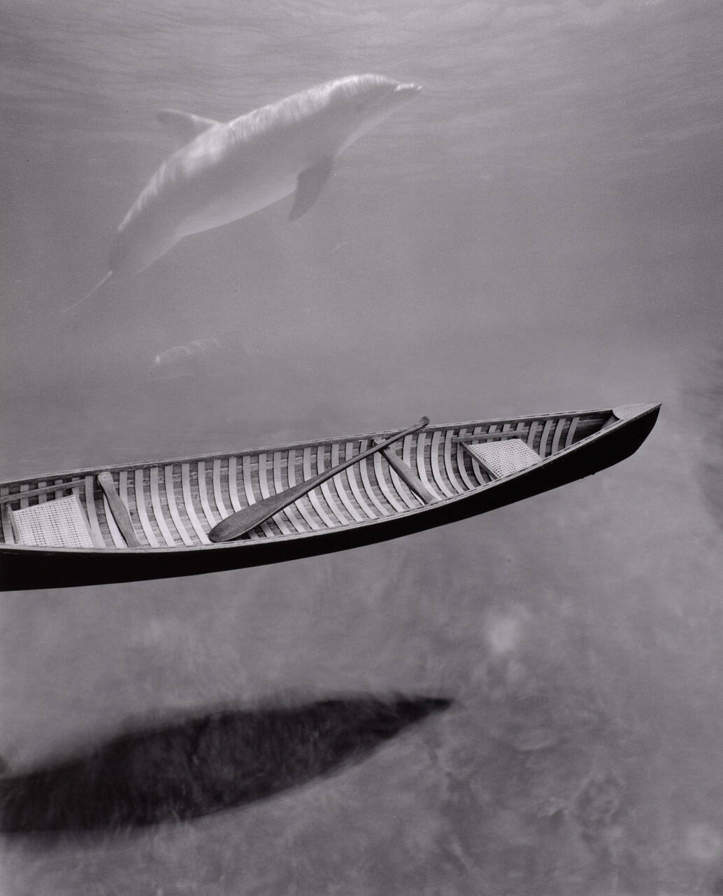 Untitled (canoe/porpoise)