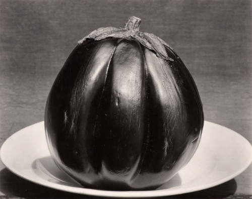 Aubergine