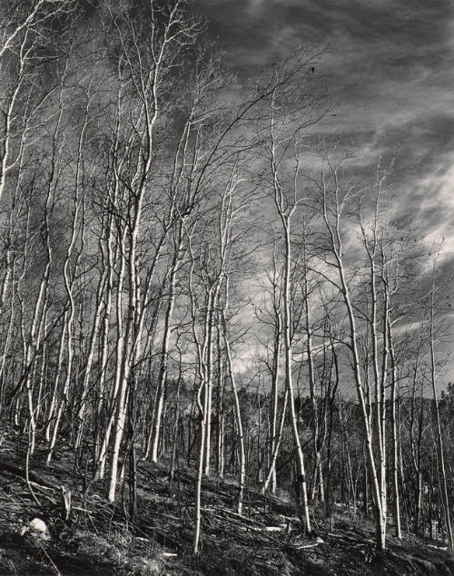 Aspen Valley, New Mexico