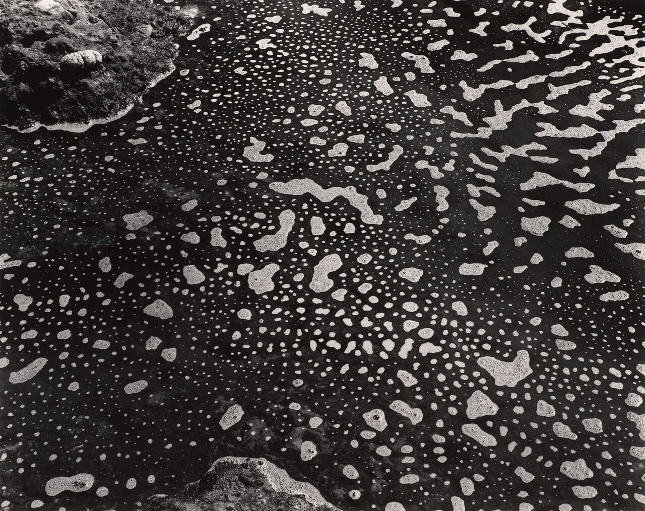 Tide Pool, Point Lobos