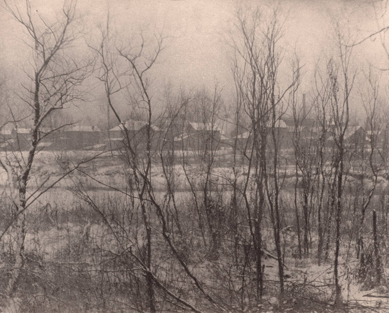 Landscape--Winter