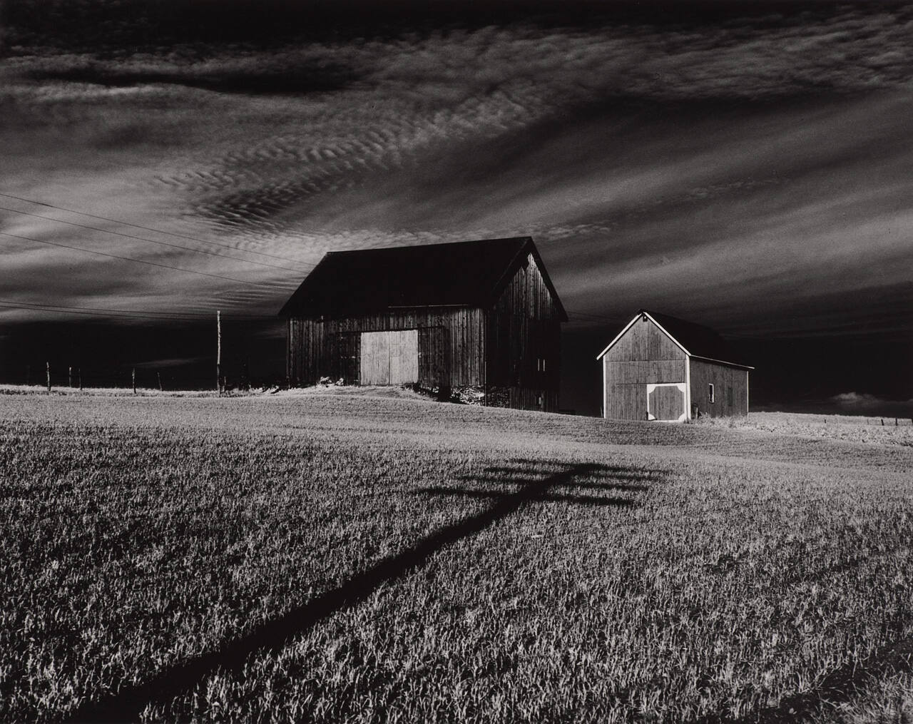 Two Barns, Dansville, New York