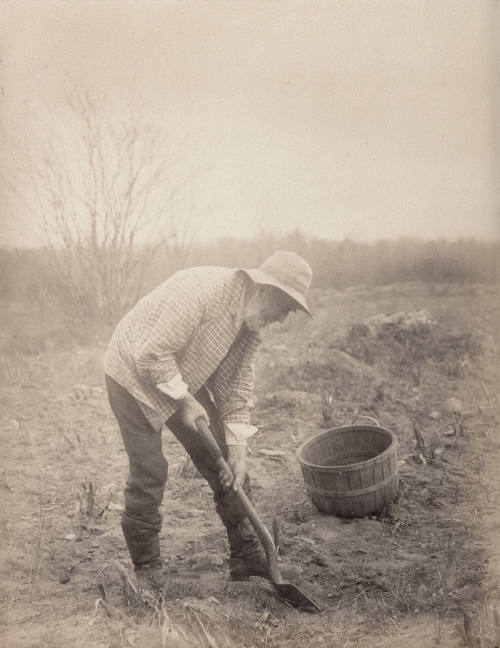 Toil