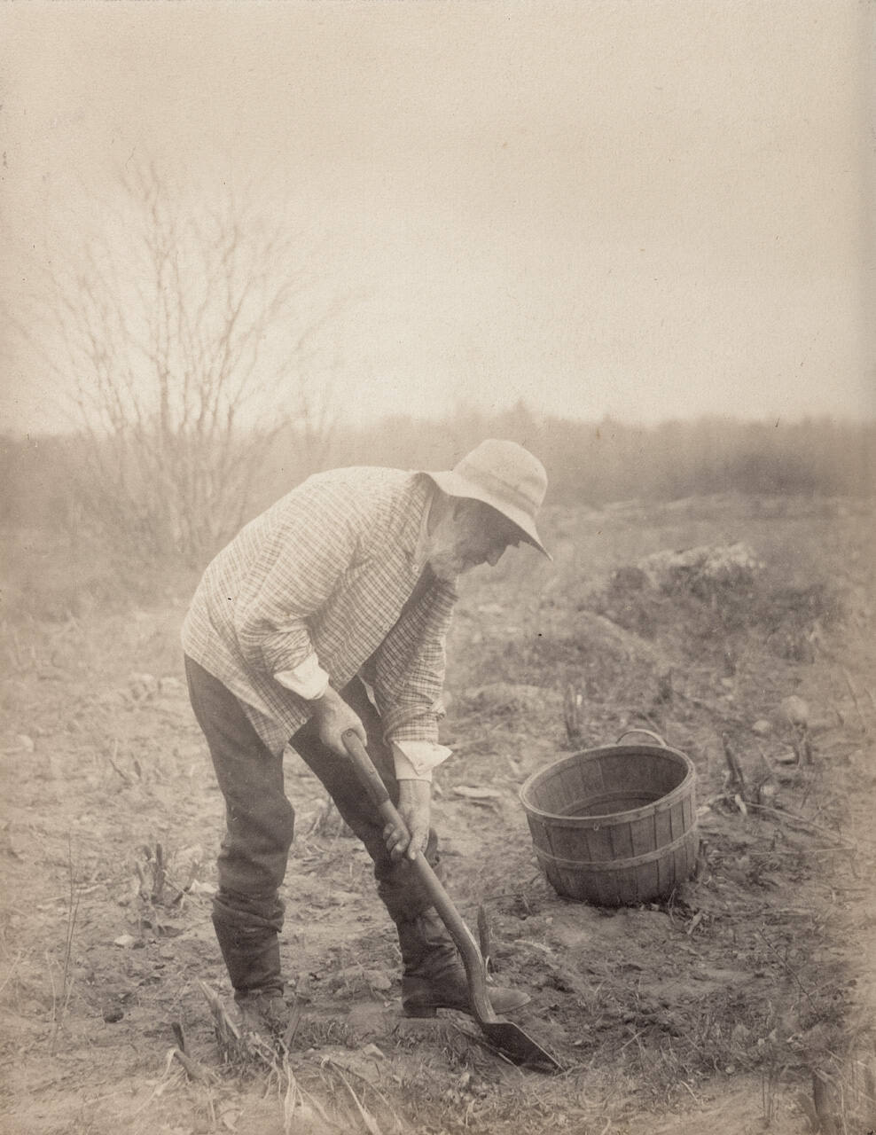 Toil