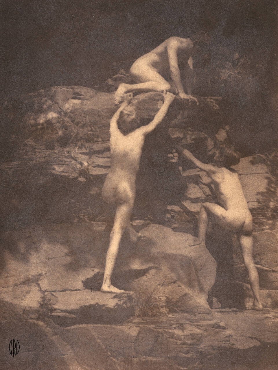 The Swimmers