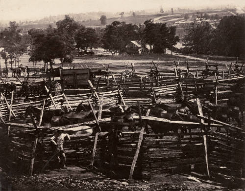 The Stockade