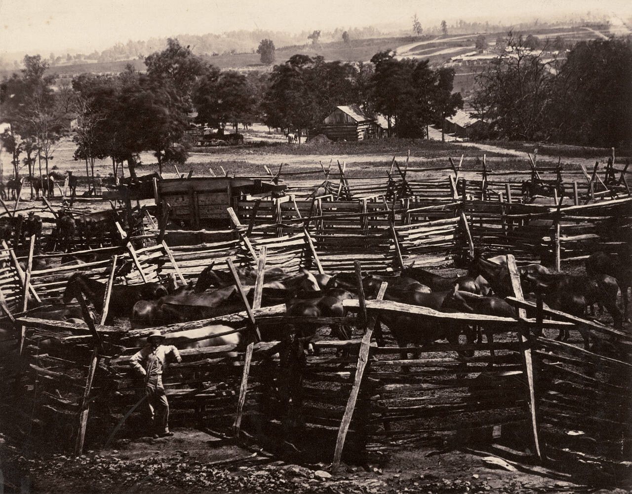 The Stockade