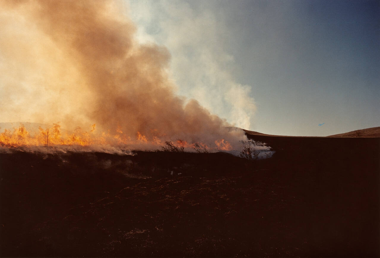 Prairie Fire - 1977, Konza Prairie, Kansas