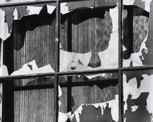 Broken Window