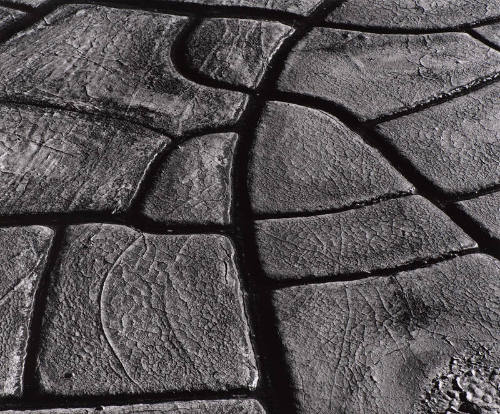 Mud Cracks