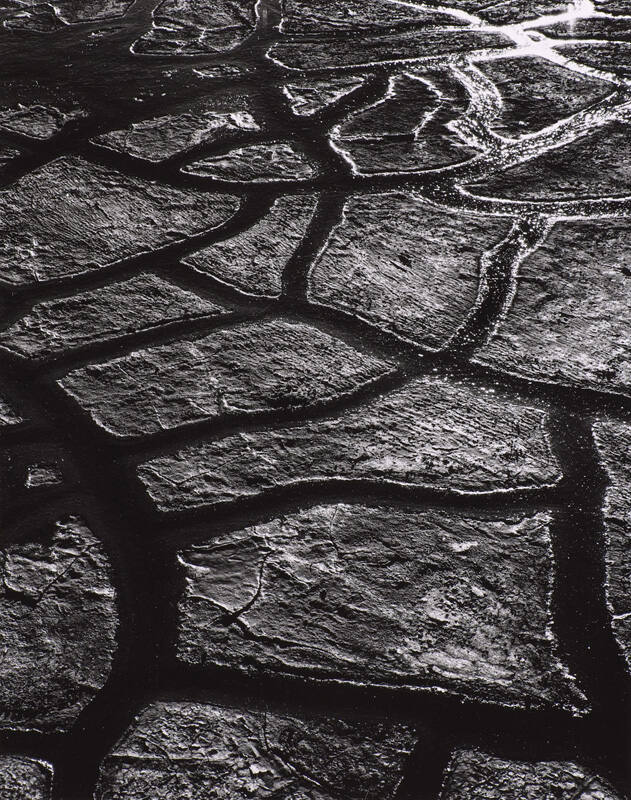 Mud Cracks