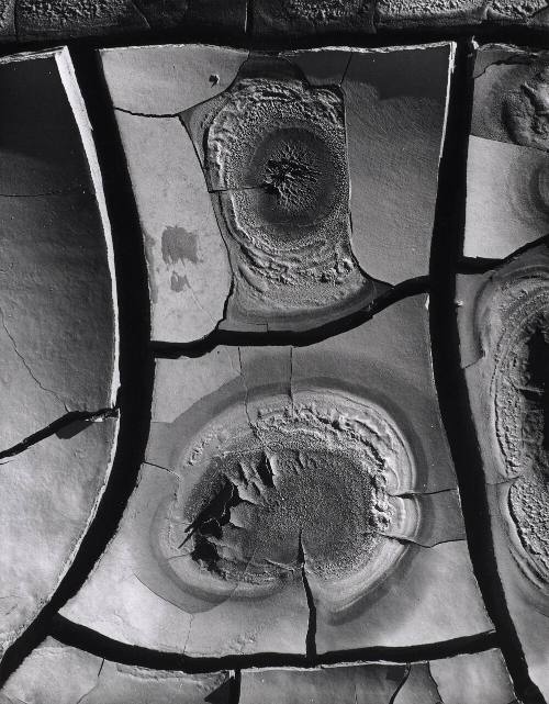 Mud Cracks