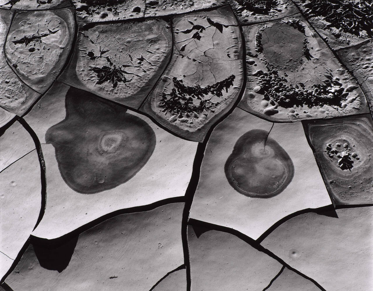 Mud Cracks