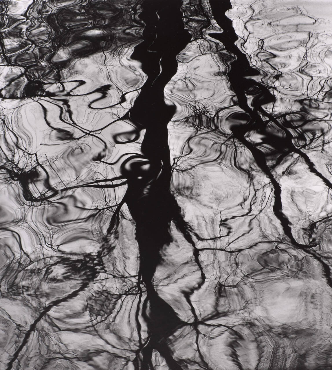 Water Reflection