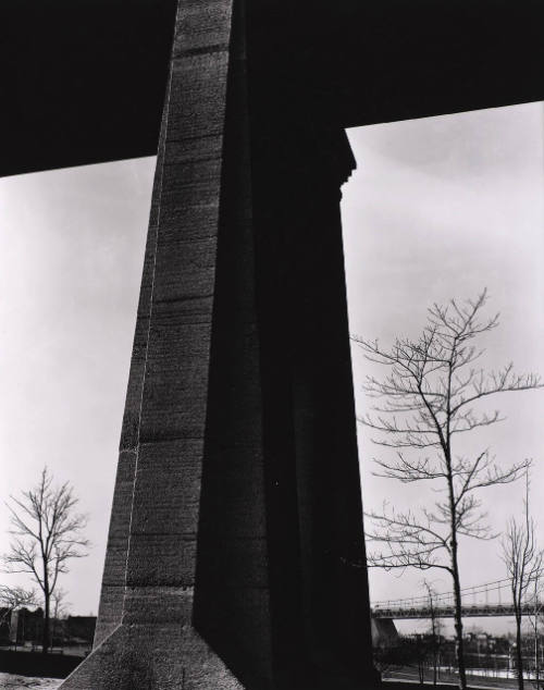 Bridge Support and Tree, New York