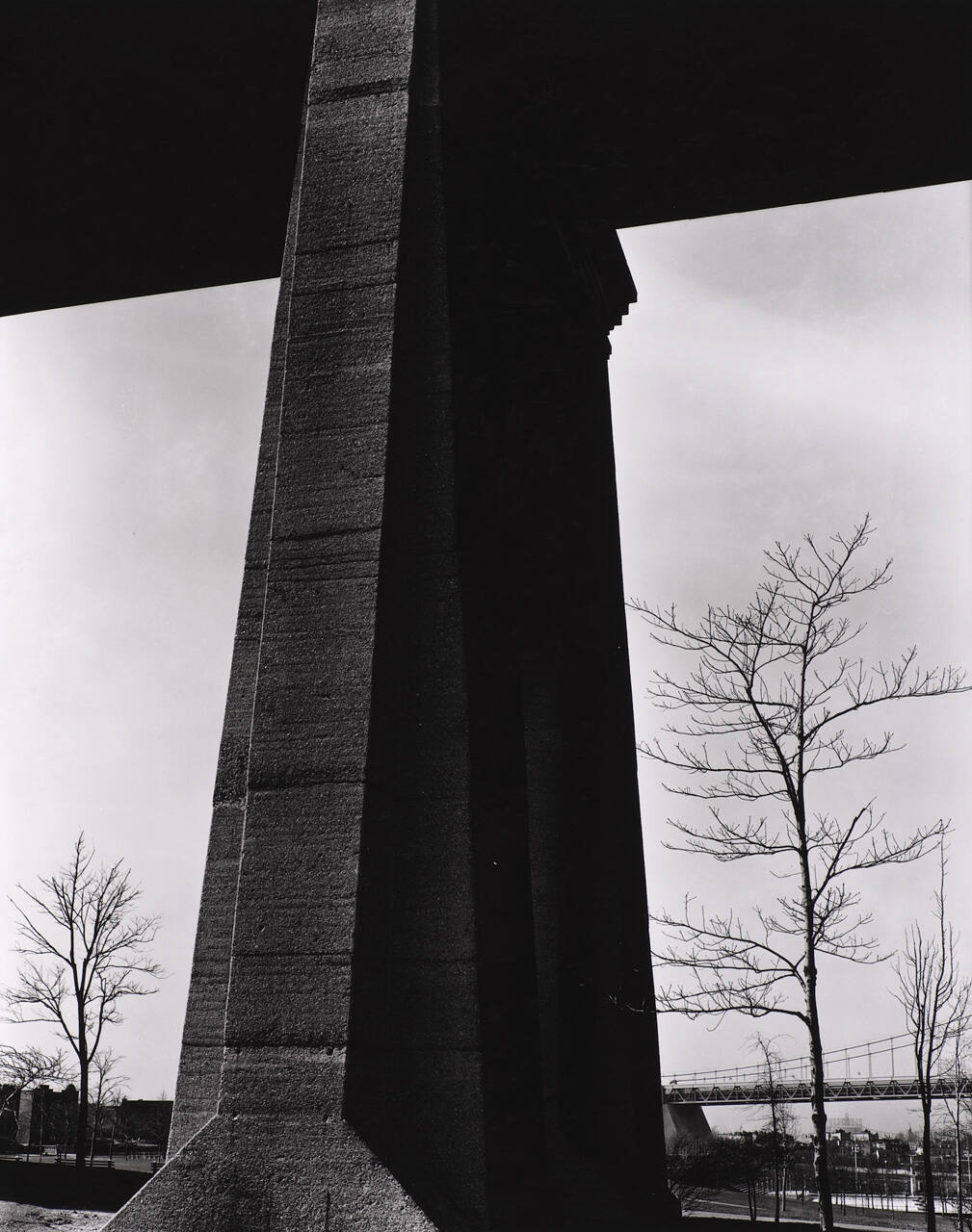 Bridge Support and Tree, New York