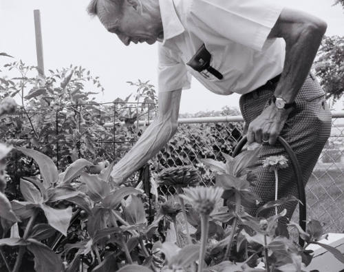 GED in the Garden 7/91
